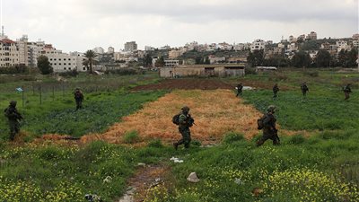 مستوطنون يتلفون 8 دونمات من حقول المزارعين في 