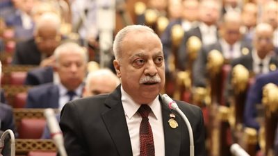 النائب حسني سبالة يتقدم باقتراح برغبة بشأن إنشاء وحدة جوازات سفر بمدينة زفتى بالغربية