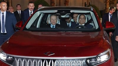 الرئيس السيسي ونظيره التركي