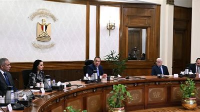 رئيس الوزراء يتابع استعدادات إطلاق منظومة التأمينات الرقمية