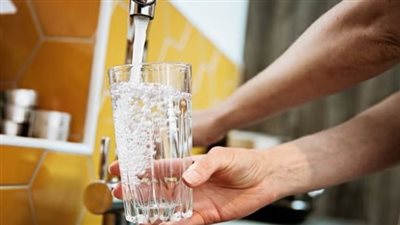 ما هي الأميبا التي تتواجد في مياه الشرب؟ وما خطورتها المميتة؟