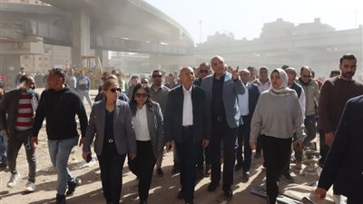 محافظا القليوبية والقاهرة يواصلان حملة إزالة العشوائيات بمنطقة المرج وإخلاء أسفل الكباري بالكامل