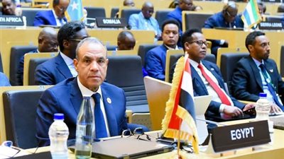 بتكليف من الرئيس السيسي.. وزير الخارجية يترأس وفد مصر في قمة الاتحاد الإفريقي