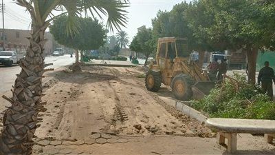 بالصور.. استكمال أعمال تركيب بلاط الإنترلوك وتقليم الأشجار بشوارع الأقصر