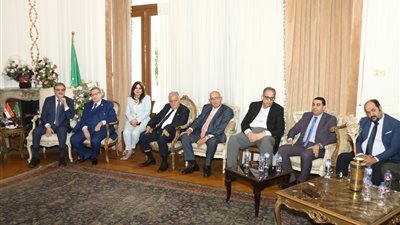 لقاء في حزب الوفد 