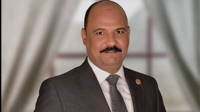 النائب علي سيد معوض