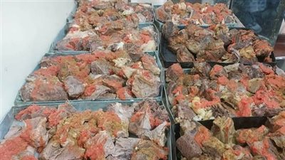 محافظ أسوان يتابع توزيع 350 وجبة غذائية ضمن مبادرة 