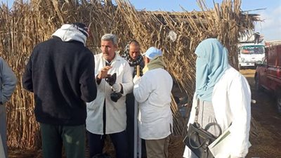 الزراعة تنفذ أكثر من 6.7 ألف ندوة إرشادية بيطرية خلال يناير لدعم صحة الحيوان