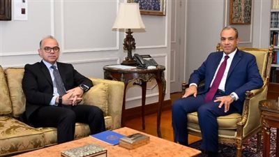 وزيرا الخارجية والاستثمار يبحثان تعزيز التنسيق المشترك لجذب الاستثمارات وتحقيق التنمية الاقتصادية