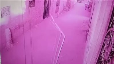 حقيقة الفيديو المنتشر بشأن تعدي فرد شرطة على شخص وأسرته بالقليوبية|تفاصيل