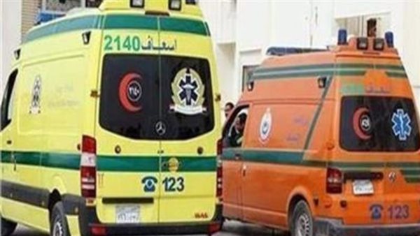 مصرع شخصين وإصابة 12 في انقلاب ميكروباص بأكتوبر