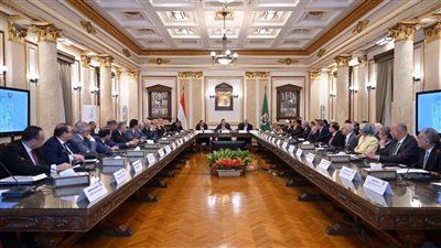 رئيس جامعة دمياط يشارك باجتماع المجلس الأعلى للجامعات بجامعة القاهرة