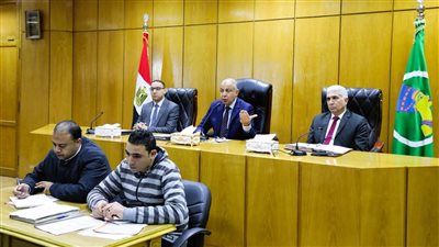 محافظ المنيا: حماية الرقعة الزراعية «أمن قومي».. وحصر شامل لأراضي الدولة تعظيمًا للموارد 