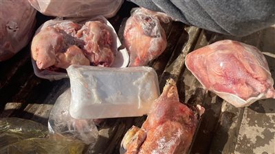 حملة تفتيش موسعة على الاسواق والمجازر في دمياط