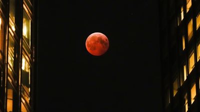 ظهور قمر الدودة في السماء.. ما هو؟ وماذا يعني في علم الفلك؟