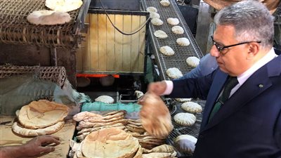 محافظ الدقهلية يتفقد المخابز بقرى مركز طلخا 