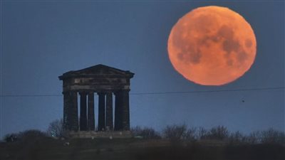 مفاجآة علمية: العلماء تمكنوا من زراعة هذا النبات على سطح القمر