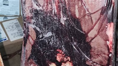 ضبط 3.7 طن تقريبا عينات دجاج وكبد ولحوم غير صالحة للاستهلاك بالدقهلية 