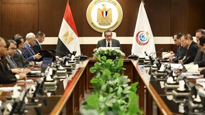 جامعة المنيا تشارك في اجتماع التأمين الصحي الشامل استعدادًا للمرحلة الثانية بالمحافظة