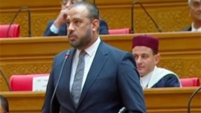 برلماني: اتصال السيسي مع إيران يعكس حرص مصر على استقرار المنطقة