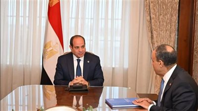 وزير الخارجية: كلمات الرئيس في يوم الدبلوماسية المصرية تقدير لدور السلك الدبلوماسي 