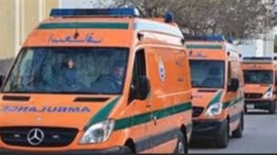 بالأسماء.. مصرع وإصابة 6 أشخاص في حادث بشع أعلى الطريق الزراعي بالبحيرة 