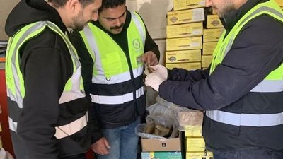 هيئة سلامة الغذاء تضبط طن رنجة فاسدة بالأسواق بمحافظة الغربية