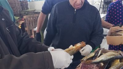 ضبط 604 كيلو لحوم ودواجن وأسماك فاسدة بالغربية