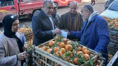 حملات مفاجئة لحماية المستهلك في الإسكندرية تضبط 14 مخالفة للتلاعب بالأسعار