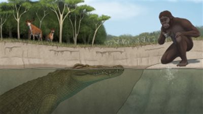 علماء يكتشفون نوع جديد من التماسيح العملاقة ظهرت في عصور قبل التاريخ