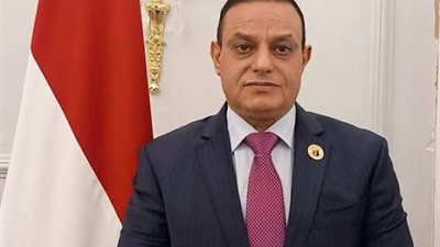 النائب مختار همام: الدولة تمضي بخطى ثابتة في ترسيخ دعائم الأمن والاستقرار