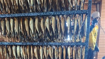 حملات تموينية تضبط 600كجم رنجة فاسدة وطن ونصف سكر ناقص الوزن بطنطا