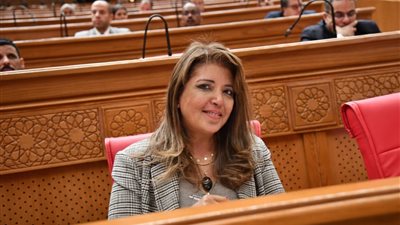 النائبة داليا السعدني تشيد بدعوة وزارة الدولة للإعلام لتعزيز التضامن العربي