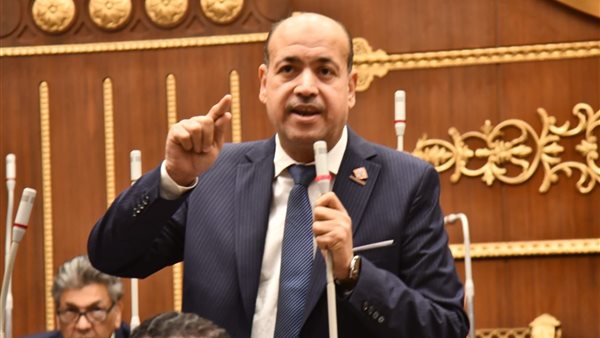  النائب أحمد سيد