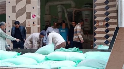  ضبط 4 طن دقيق مدعم قبل بيعها بالسوق السوداء ورنجة فاسدة بالمنوفية 