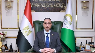 محافظ الجيزة