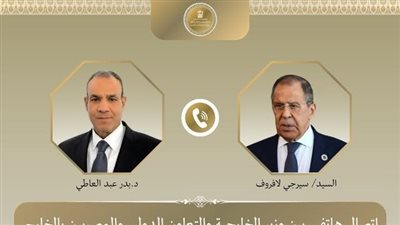وزير الخارجية المصري يبحث مع لافروف خفض التصعيد ودعم القضية الفلسطينية