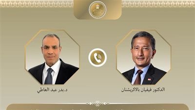 وزير الخارجية ونظيره السنغافوري