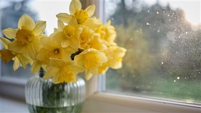 صورة تعبيرية