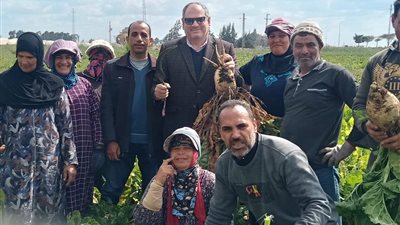 البحوث الزراعية تفتتح يومًا حقليًا لحصاد بنجر السكر بكفر الشيخ لتعزيز الأمن الغذائي