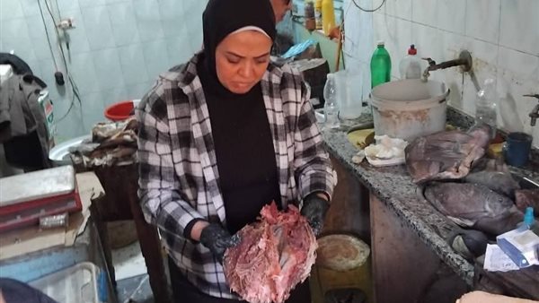 حملات بيطرية مكثفة بالمنيا تضبط 177 كجم لحوم وأسماك فاسدة حملات بيطرية مكثفة بالمنيا تضبط 177 كجم لحوم وأسماك فاسدة