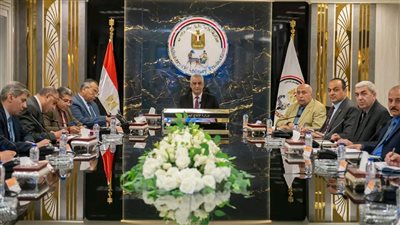 وزير الإنتاج الحربي يوجه بتشكيل لجنة لترشيد استهلاك الكهرباء دون المساس بالإنتاج