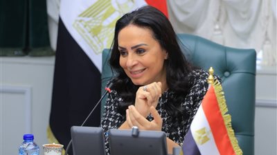 وزيرة التضامن تبحث الملفات الاجتماعية العربية الهامة 