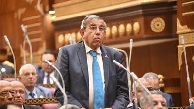 «برلماني» يطرح تساؤلات حول تأخر الحكومة في إعلان تفاصيل الحزمة الاجتماعية الجديدة 