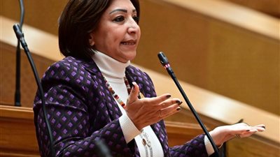 مها عبد الناصر