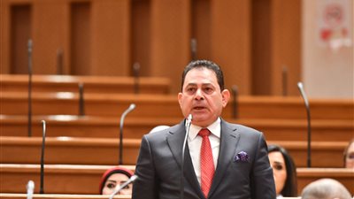 برلماني: بيان البرلمان يؤكد رفض مصر لأي اعتداء على دول الخليج ويجدد دعمها لأمن المنطقة