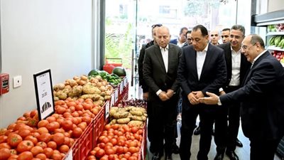 مدبولي: مشروع 