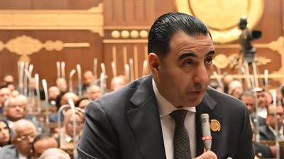 «برلمانية المؤتمر» بمجلس الشيوخ: بيان البرلمان يترجم سياسة مصر القائمة على حماية الأمن القومي