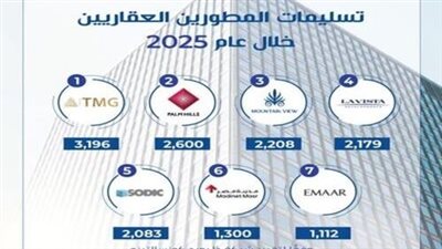 ماونتن ڤيو تعزز مكانتها في ٢٠٢٥ بالمركز الثالث في التسليمات والرابع في المبيعات 