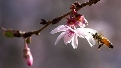 صورة تعبيرية